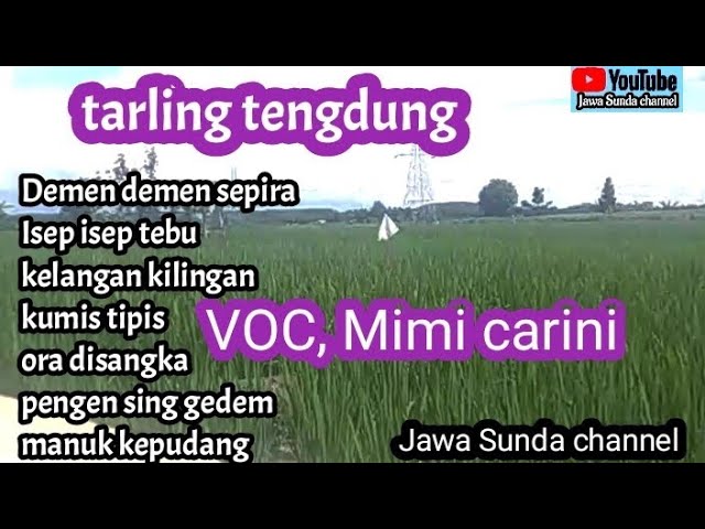 koleksi lagu tarling  tengdung cover,  // VOC, Mimi carini class=