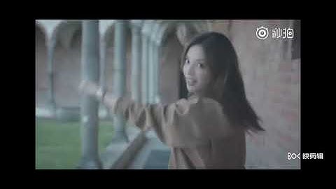 赵薇 趙薇，Zhao Wei ，Vicki Zhaｏ　Ｗｅｉ赵薇影迷做的视频