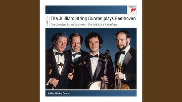 String Quartet No. 3 in D Major, Op. 18 No. 3: IV. Presto