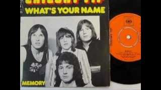Video thumbnail of "Chicory Tip - What's Your Name"