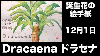 誕生花の絵手紙 12月1日 Dracaena ドラセナ Youtube