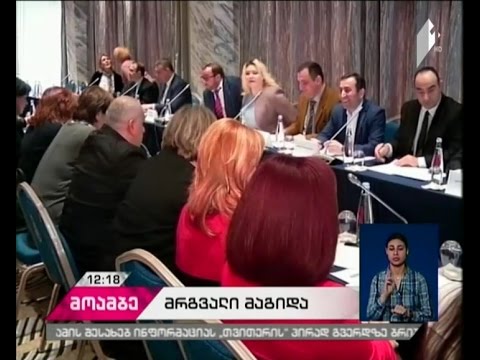 დისკუსია ადვოკატის პროფესიის საკანონმდებლო ჩარჩოს დახვეწასთან დაკავშირებით