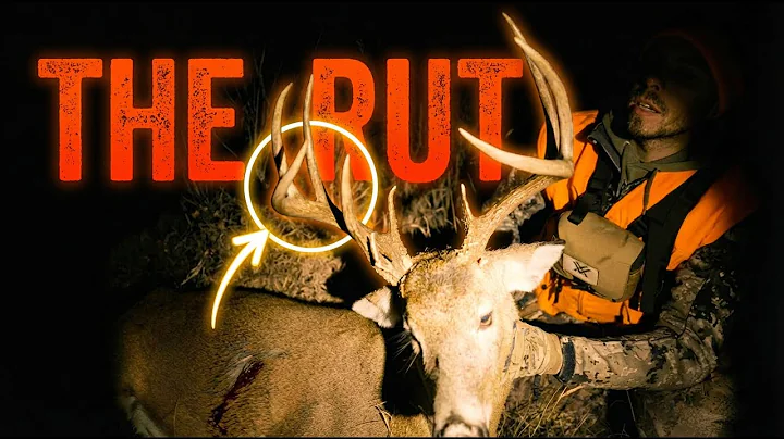 Manitoba Whitetail deer hunting (THE RUT)