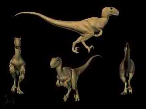 report cycle check Spielbergi walk  YouTube Raptormimus  cycle