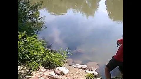 Pescatore aldo e Zoran  su Mincio  governolo  dome...