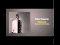 Paul van Dyk Remix of ALLEINE SEIN by Peter Heppner
