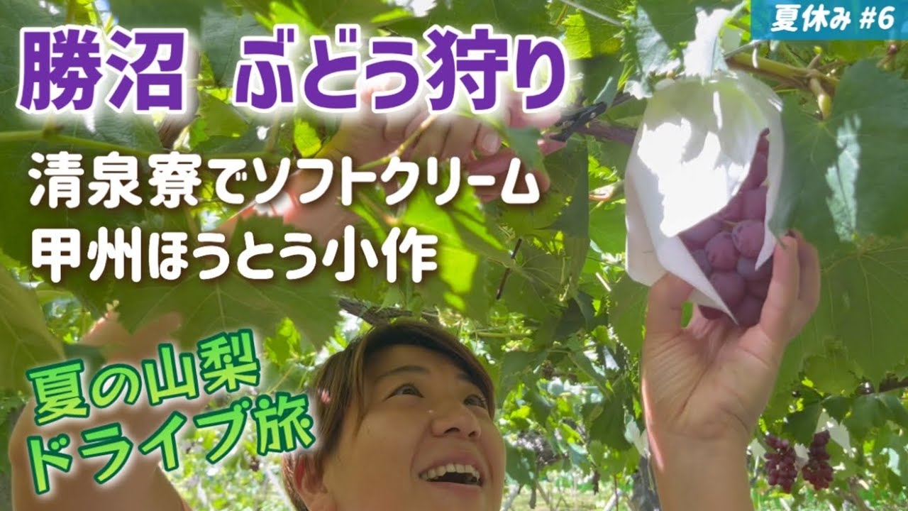 いざ山梨へ！勝沼でぶどう狩り！清泉寮でソフトクリーム！甲州ほうとう小作ですいとん！サービスエリア立ち寄りながら山梨日帰りドライブ旅。夏休みday6♪