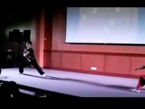Zhong Hua Night Wushu Performance 3