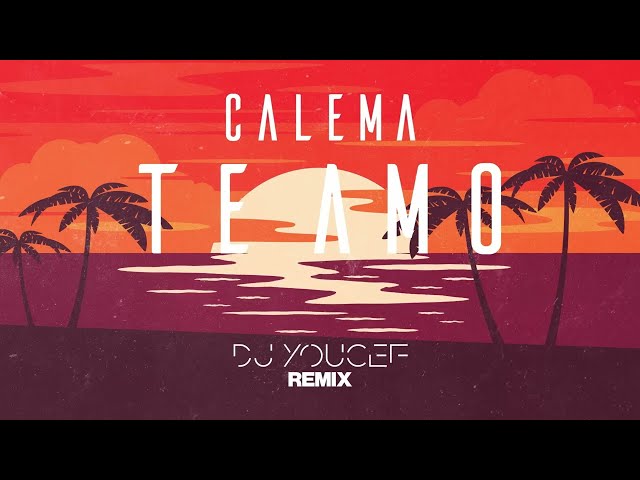 Calema - Te Amo (DJ Youcef Remix) - Intrumental (paroles) class=