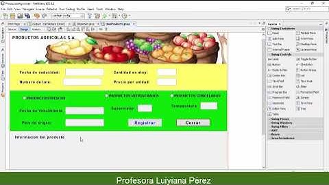 Diseño de un formulario en NetBeans
