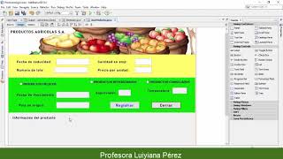 Diseño de un formulario en NetBeans Profile