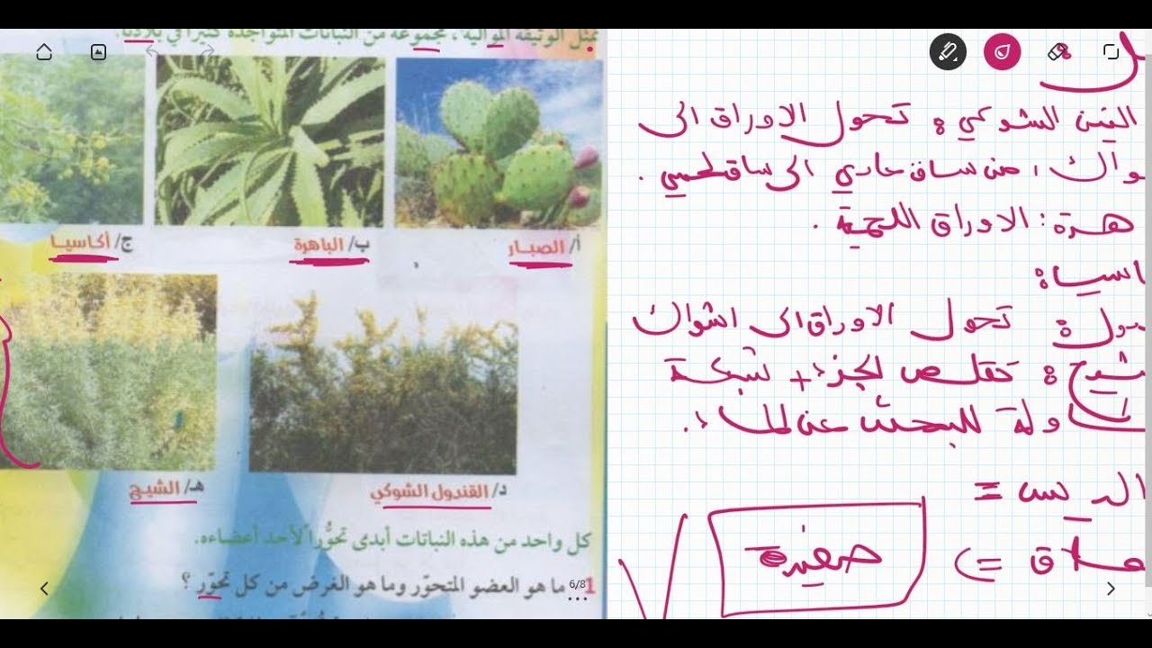 علوم طبيعية الثانية متوسط حل وضعية على التحور النباتي