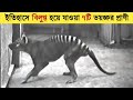        7 extinct animals in history odvut secret  mayajaal