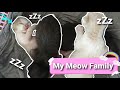 My Meow Family EP3