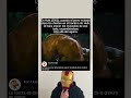 Esta variante de Hulk era una amenaza