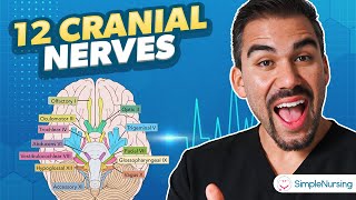 The 12 Cranial Nerves | Head & Neck Health Assessment for Nurses