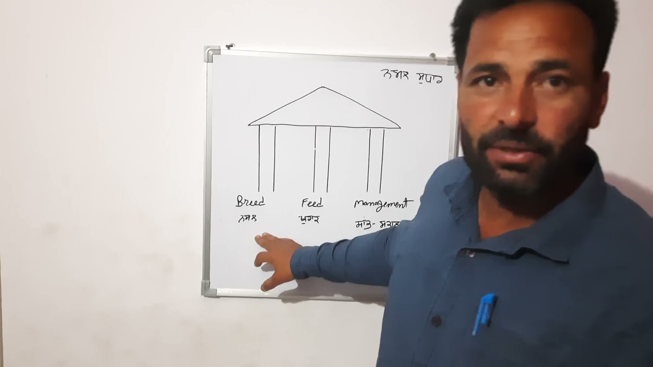 ਕਾਮਯਾਬ ਡੇਅਰੀ ਫਾਰਮ ਦੇ ਜਰੂਰੀ ਨੁਕਤੇ ਅਤੇ ਨਸਲ ਸੁਧਾਰ | ਪੂਰੀ ਜਾਣਕਾਰੀ