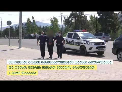 პოლიციამ ოჯახში ძალადობისა და ოჯახის წევრის მიმართ მუქარის ბრალდებით 1 პირი დააკავა