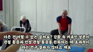강황의효능