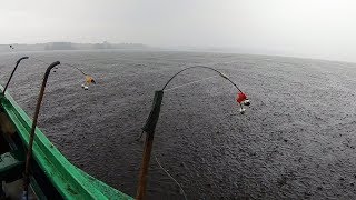 Рыбалка Осенью Рыбалка Осенью