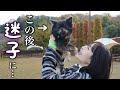 出産前に行きたかったところに行ってきました!【ドッグラン】
