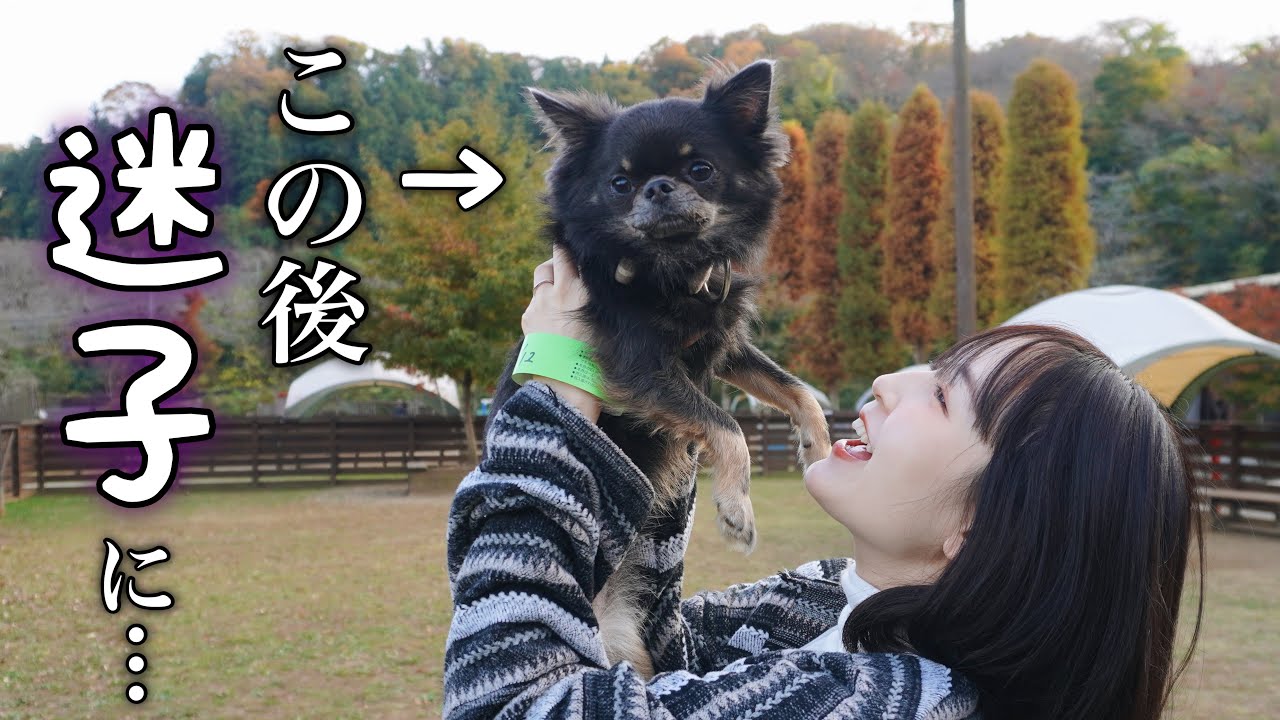 出産前に行きたかったところに行ってきました!【ドッグラン】
