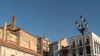 Plaza Mayor de Vitigudino. El Milano sobrevuela la iglesia.