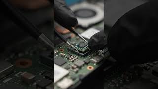Precision Microchip Installation: Step-by-Step