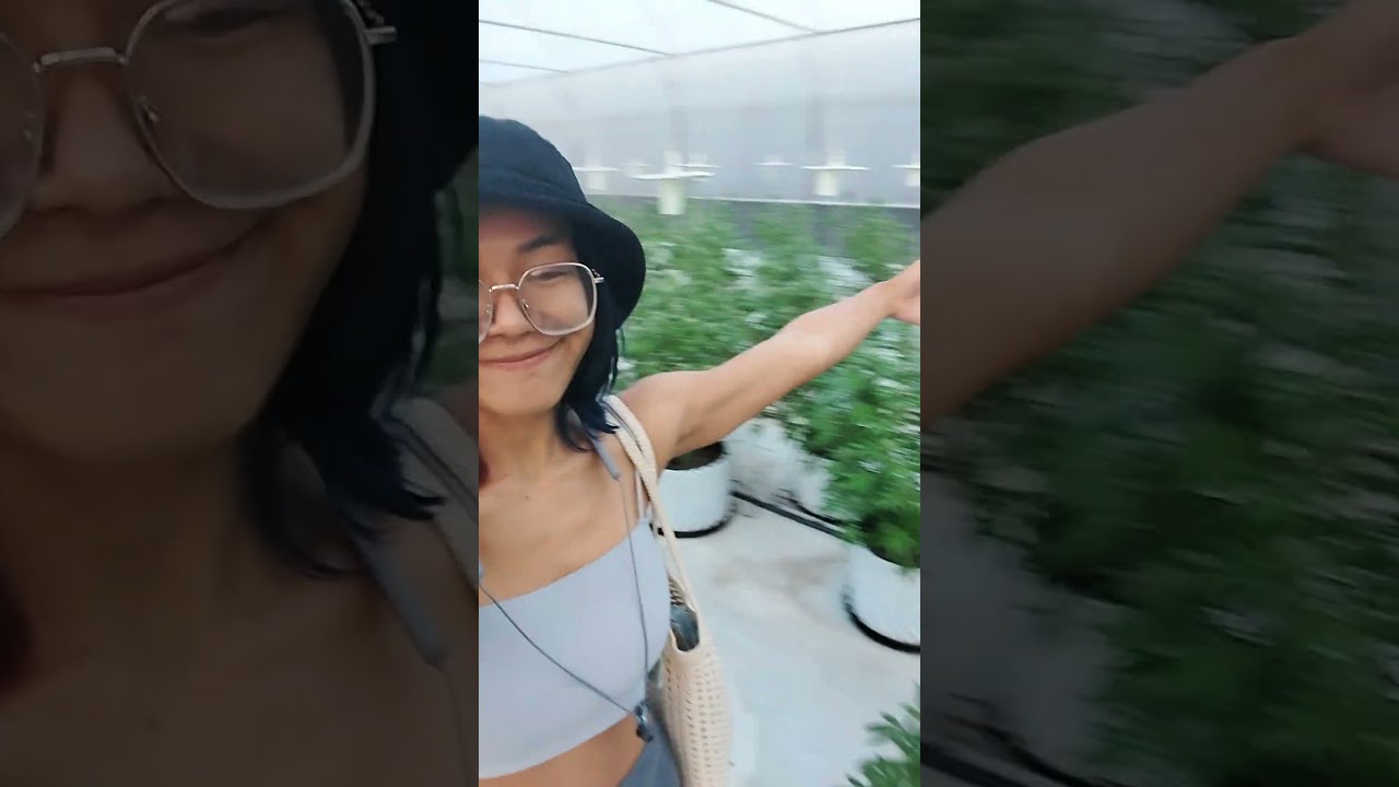 Extraction Artist in training touring cannabis farms in rural Thailand