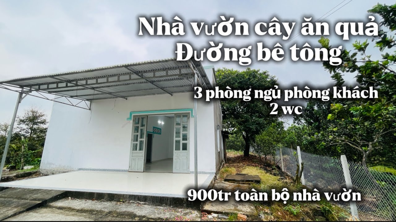NHÀ VƯỜN CÂY ĂN QUẢ ĐƯỜNG BÊ TÔNG GẦN TIỆN ÍCH GIẾNG ĐIỆN ĐẦY ĐỦ 15x72 TỔNG 1002mv ĐÃ CÓ SỔ RIÊNG 