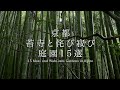 京都 苔寺と侘び寂びの庭園15選|15 Moss and Wabi -Sabi Gardens in Kyoto