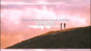 Fiersa Besari pelukku untuk pelikmu [spndii remix]