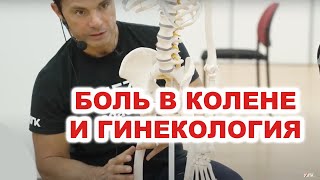 Боль в колене и гинекология - какая связь? (Глеб Кирдогло)