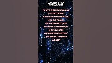 Navigating Security Audits