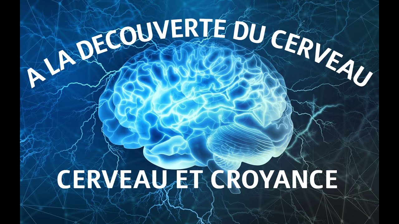A la découverte du cerveau - 4. Cerveau et croyance