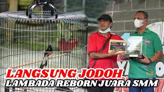 Langsung Jodoh! Setelah Deal Murai Lambada Reborn Juara 1 di SMM feat Priyanto Jaya SF