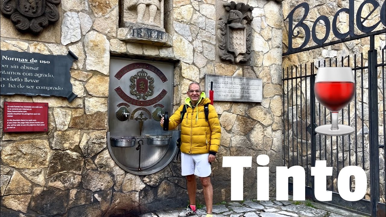 Camino 62 Francés Enero 2026 Parte 6: De Estella a Los Arcos