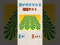 疲れた目に見える動く絵 | 錯覚ショーツ
