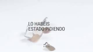 ROIK - Small, Slim & Easy Wallets, ahora con monedas