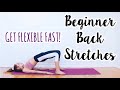 Back Stretches for the Inflexible! Beginner Flexibility Routine