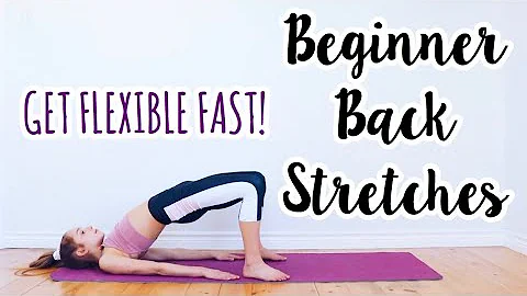 Back Stretches for the Inflexible! Beginner Flexibility Routine