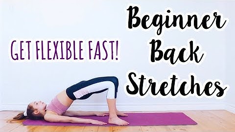 Back Stretches for the Inflexible! Beginner Flexibility Routine