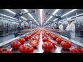How Tomatoes Are Made Inside a Modern Factory – Field to Table Full Process
