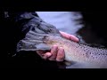 18lbs Trout - Brunná River (Iceland) | Iceland Winter Fishing Camping