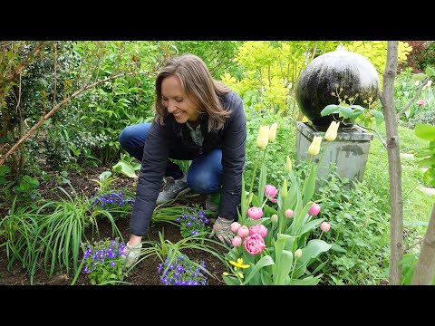 Video: Albinelor le place lobelia?