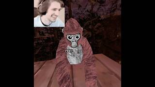 Gorilla Tag Ghost Codes Part 1