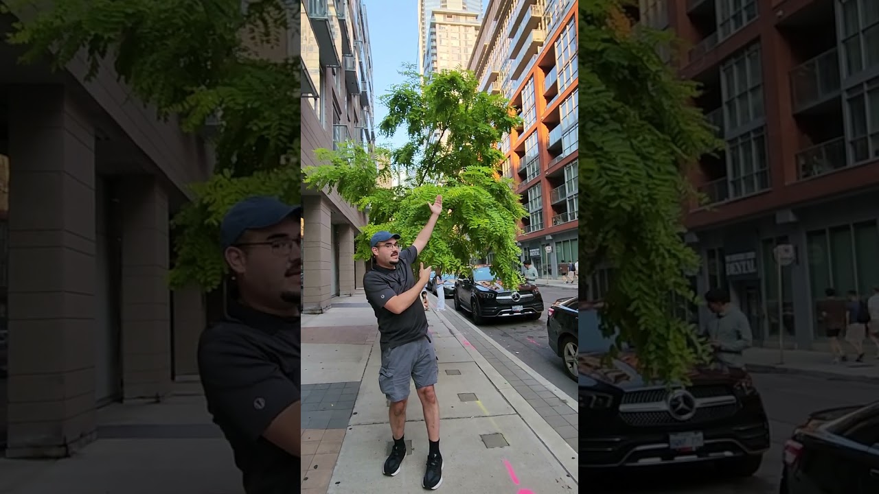 The Wild Robot TIFF Review