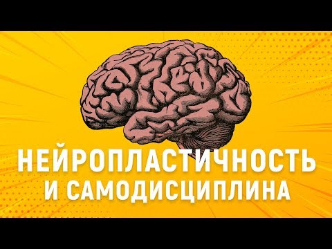 ИЗМЕНИ СВОЙ МОЗГ. Нейропластичность и сила воли