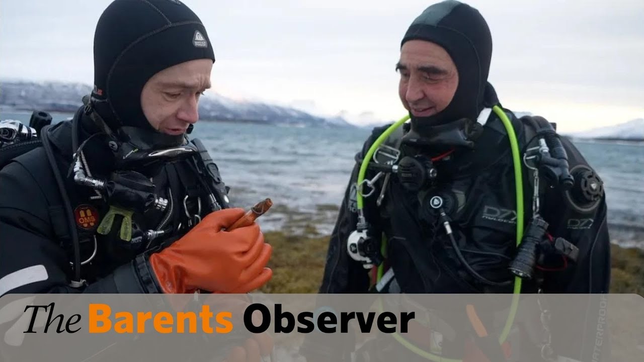 Военные самолеты, затонувшие корабли и бункеры: тревожные реликвии Второй мировой войны, оставшие...