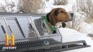 Mountain Men: Jake Rescues His Dog Lefty (Season 7, Episode 5) | History